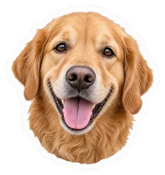 Golden retriever sonriente mirando a cámara